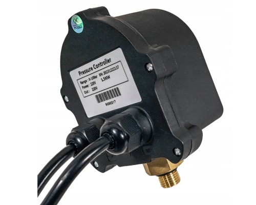 DIG-IBO 1/4" GZ ELEKTRONICZNY WYŁĄCZNIK CIŚNIENIOWY Z GNIAZDEM